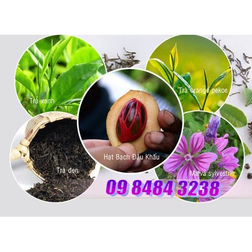 Trà thảo mộc cô đặc giảm cân Tea Concentrate