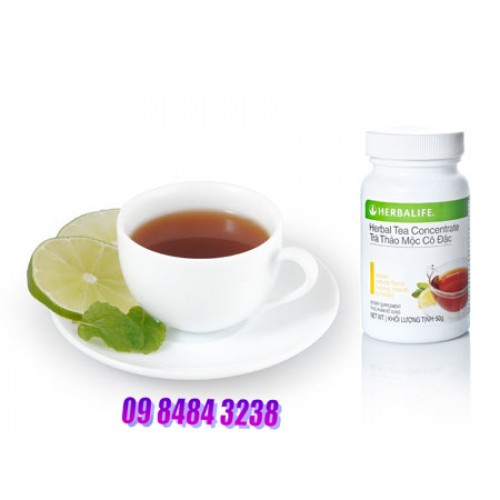 Trà thảo mộc cô đặc giảm cân Tea Concentrate