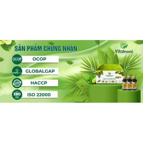 Nước Cốt Nhàu Vital ( Vitalnoni ) Bổ Sung Dinh Dưỡng, Tăng Cường Sức Khỏe, Hỗ Trợ Điều Trị Bệnh Tật